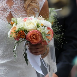 IMG_3407 IMG_3407