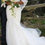 IMG_2684 IMG_2684