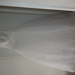 P1010131