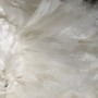 IMG_1467 IMG_1467