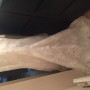 IMG_4168 IMG_4168