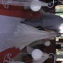 RAY_1089 RAY_1089