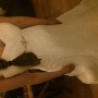 IMG_1910 IMG_1910