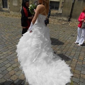 IMG_3038 IMG_3038