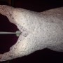 thumbnail_IMG_2187