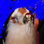 IMG_1262 IMG_1262