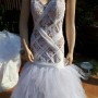 IMG_1268 IMG_1268