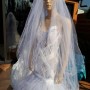 IMG_1279 IMG_1279