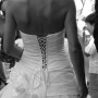 569-IMG_4638 -crop