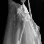 _DSC6179 _DSC6179