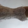 Robe Mariee coté mannequin