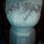 IMG_3520 IMG_3520