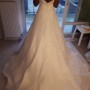 IMG_3523 IMG_3523