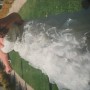 IMG_4818 IMG_4818