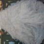 IMG_4823 IMG_4823