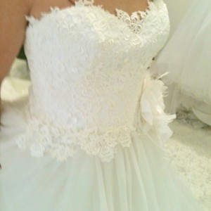 IMG_6596 IMG_6596