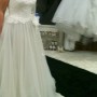 IMG_6599 IMG_6599