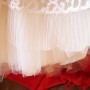 DSC00001