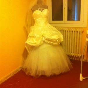 IMG_8651 IMG_8651