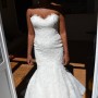weddelia2 weddelia2