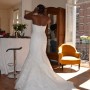 weddelia3 weddelia3