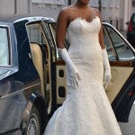 weddelia