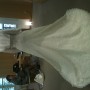 IMG_0185 IMG_0185