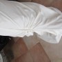 IMG_7754 IMG_7754
