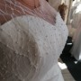 IMG_20200827_135739 IMG_20200827_135739