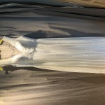 IMG_5907