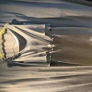 IMG_5909 IMG_5909