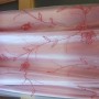 IMG_1446 IMG_1446