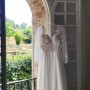 1 weddelia 1 weddelia