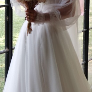 DSCF1238-2 DSCF1238-2