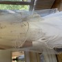 IMG-8331 IMG-8331