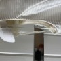 IMG_4560 IMG_4560