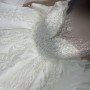 IMG_2819 IMG_2819