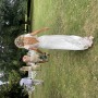 IMG_4752 IMG_4752