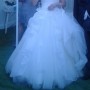 IMG_0581 IMG_0581