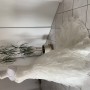 IMG_0356