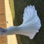 IMG_0436 IMG_0436