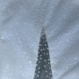 IMG_1843 IMG_1843