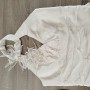 IMG_20240812_162601 IMG_20240812_162601