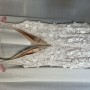 IMG_0761 IMG_0761