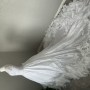 IMG_3515 IMG_3515