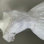 IMG_3522 IMG_3522