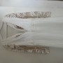 IMG_9555 IMG_9555