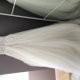 IMG_1623 IMG_1623