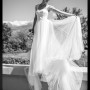 IMG_4252 IMG_4252