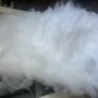 IMG_8801 IMG_8801